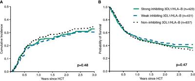 Haplotype Motif-Based Models for KIR-Genotype Informed Selection of Hematopoietic Cell Donors Fail to Predict Outcome of Patients With Myelodysplastic Syndromes or Secondary Acute Myeloid Leukemia